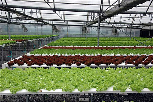 ACK_hidrofarm-cr