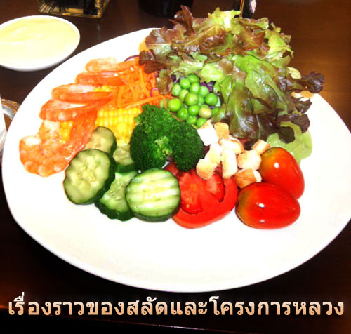 Scene4 Magazine - Arts of Thailand - Of Salads and Kings - The Royal Project grows vegetables and salad is becoming a Thai ‘thing’ | Janine Yasovant October 2010 - www.scene4.com