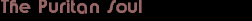 The Puritan Soul