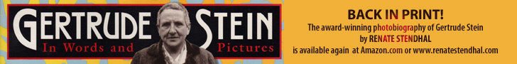 Gertrude Stein-In Words and Pictures - Renate Stendhal