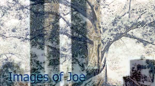 Scene4 Magazine - Images of Joe | Griselda Steiner | September 2012 | www.scene4.com
