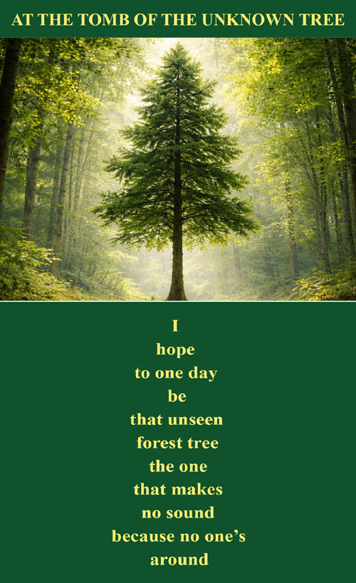 4.-UNKNOWN-TREE-cr